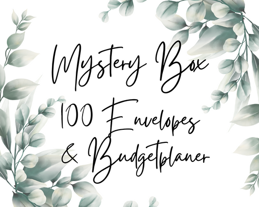Mystery Box | 100 ENVELOPES CHALLENGE & BUDGETPLANER