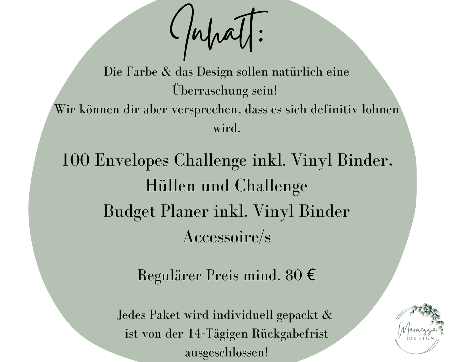 Mystery Box | 100 ENVELOPES CHALLENGE & BUDGETPLANER