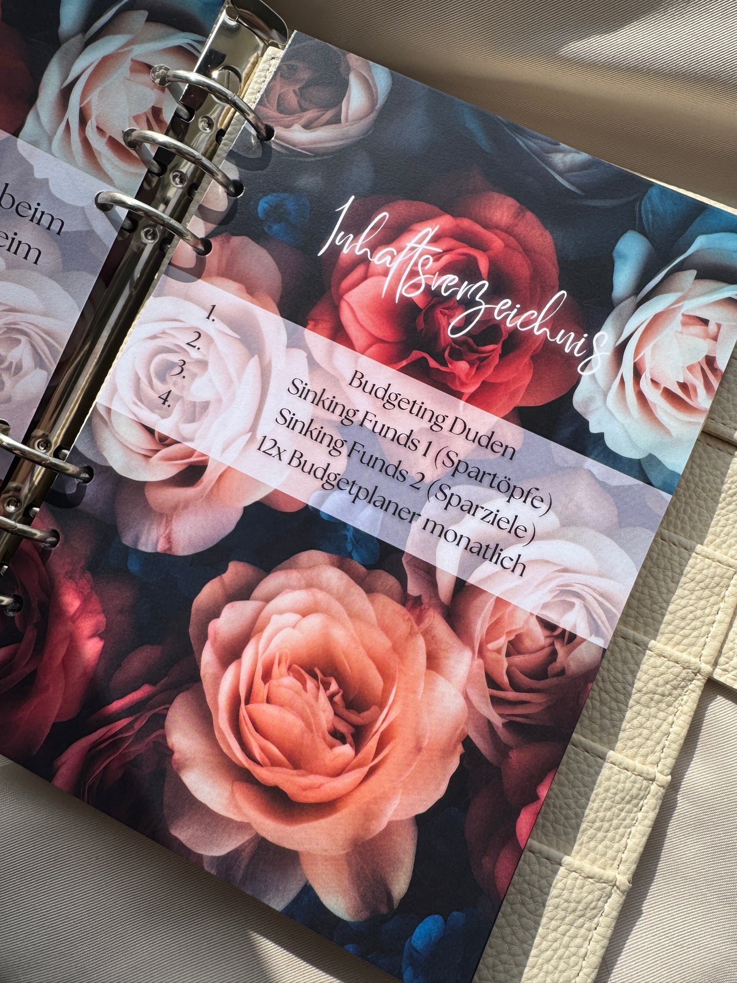 Budget Planer Finanzplaner Einlagen A5 Format | DARK ROSE