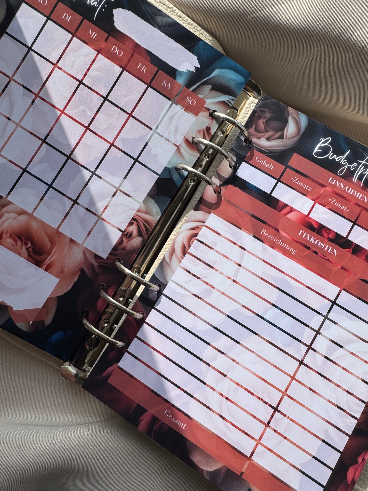 Budget Planer Finanzplaner Einlagen A5 Format | DARK ROSE
