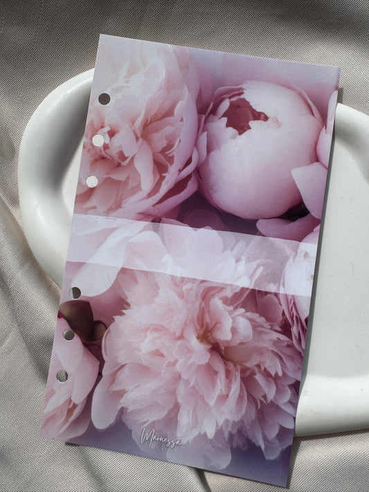 gelochte A6 Trennblätter mit Tracker foliert & blanko | PEONY DREAM