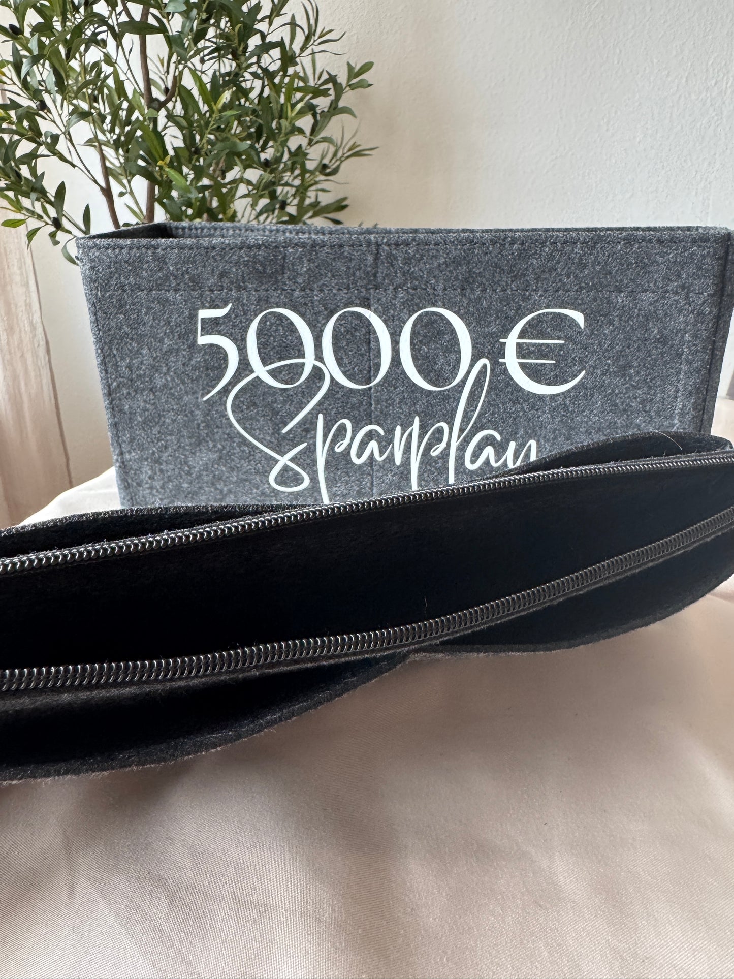 5000 € Sparplan | ORGANIZER