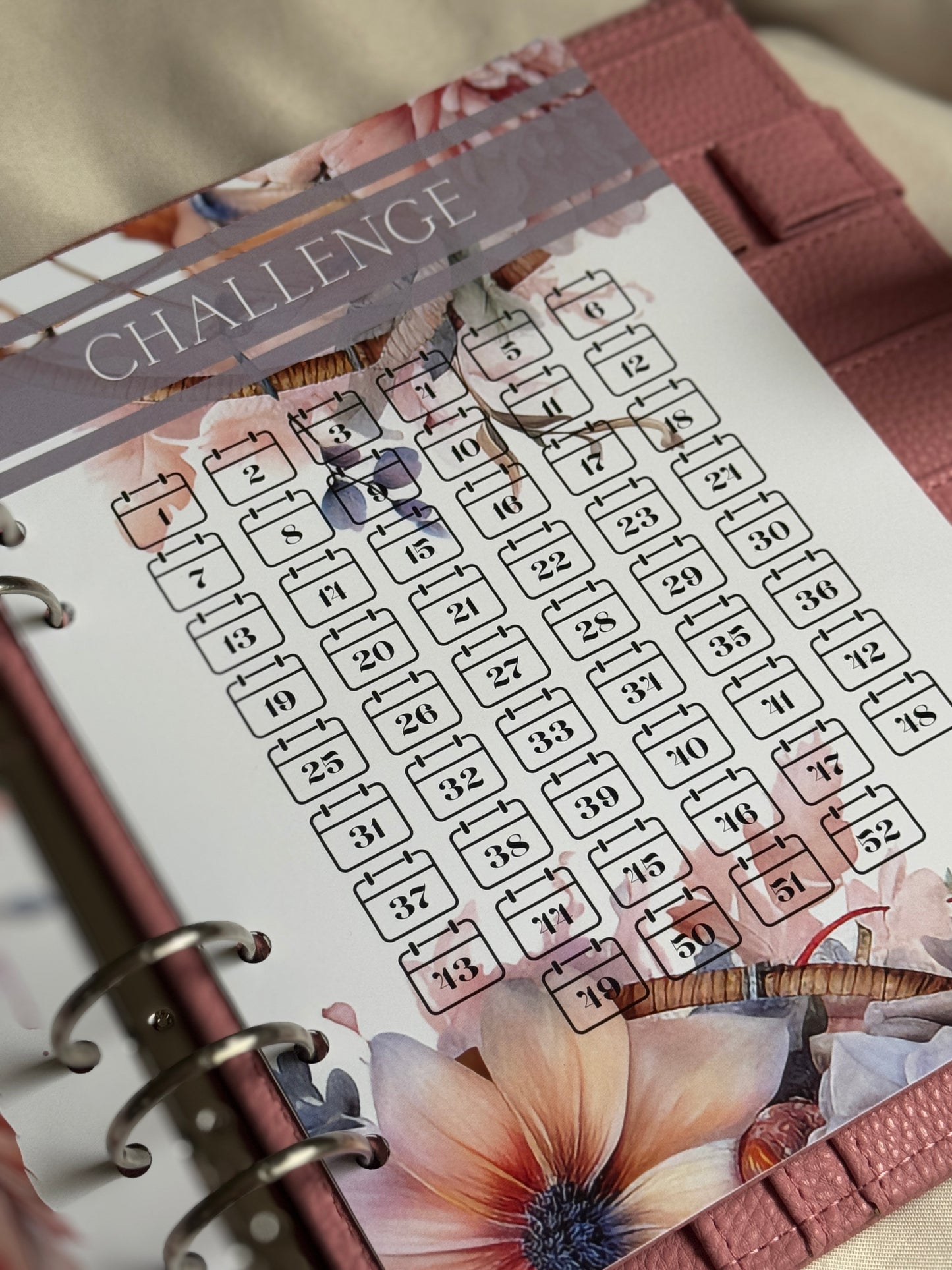 52 Wochen Challenge Einlagen | DREAMCATCHER BIRDY