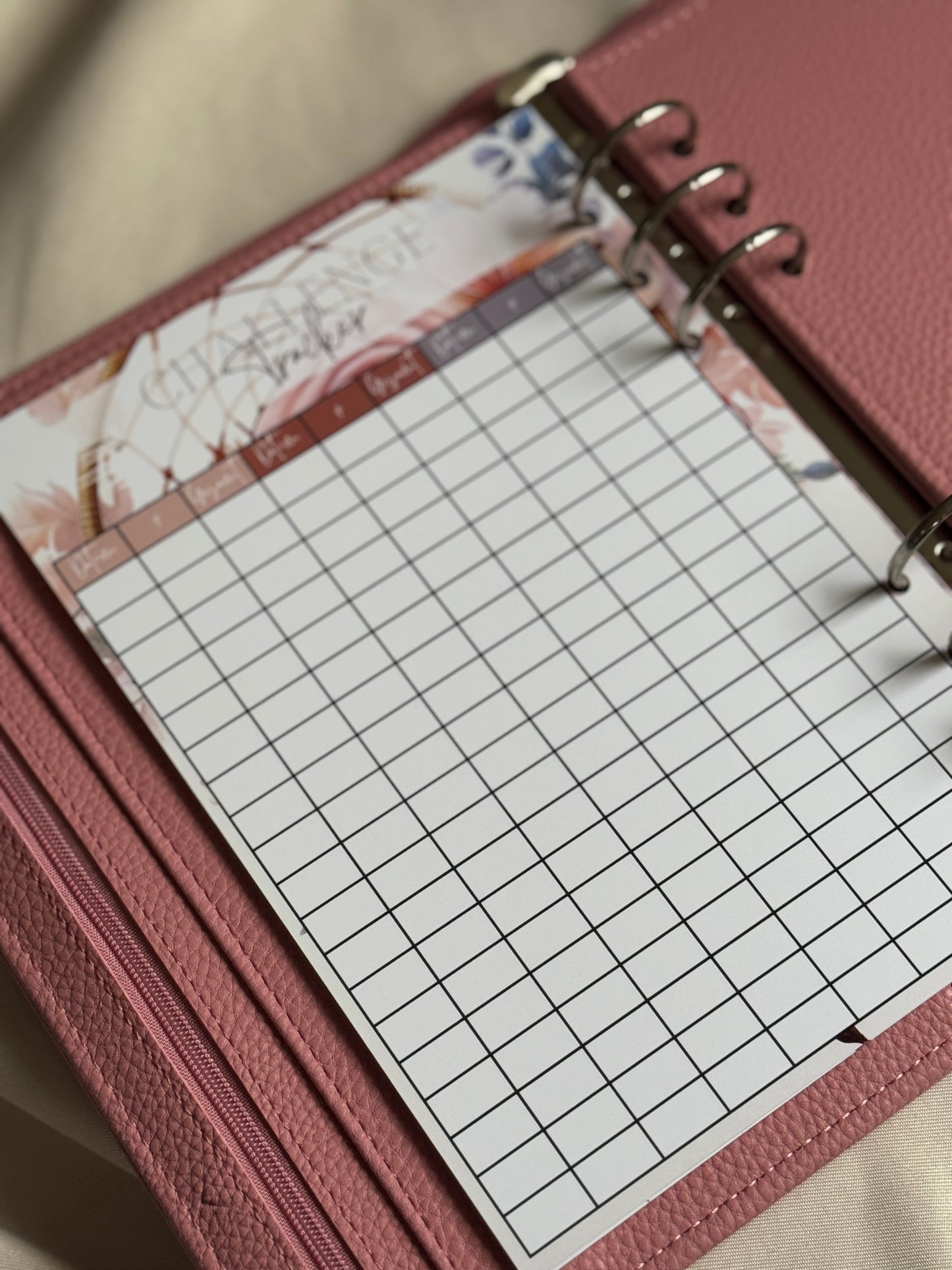 52 Wochen Challenge Einlagen | DREAMCATCHER BIRDY