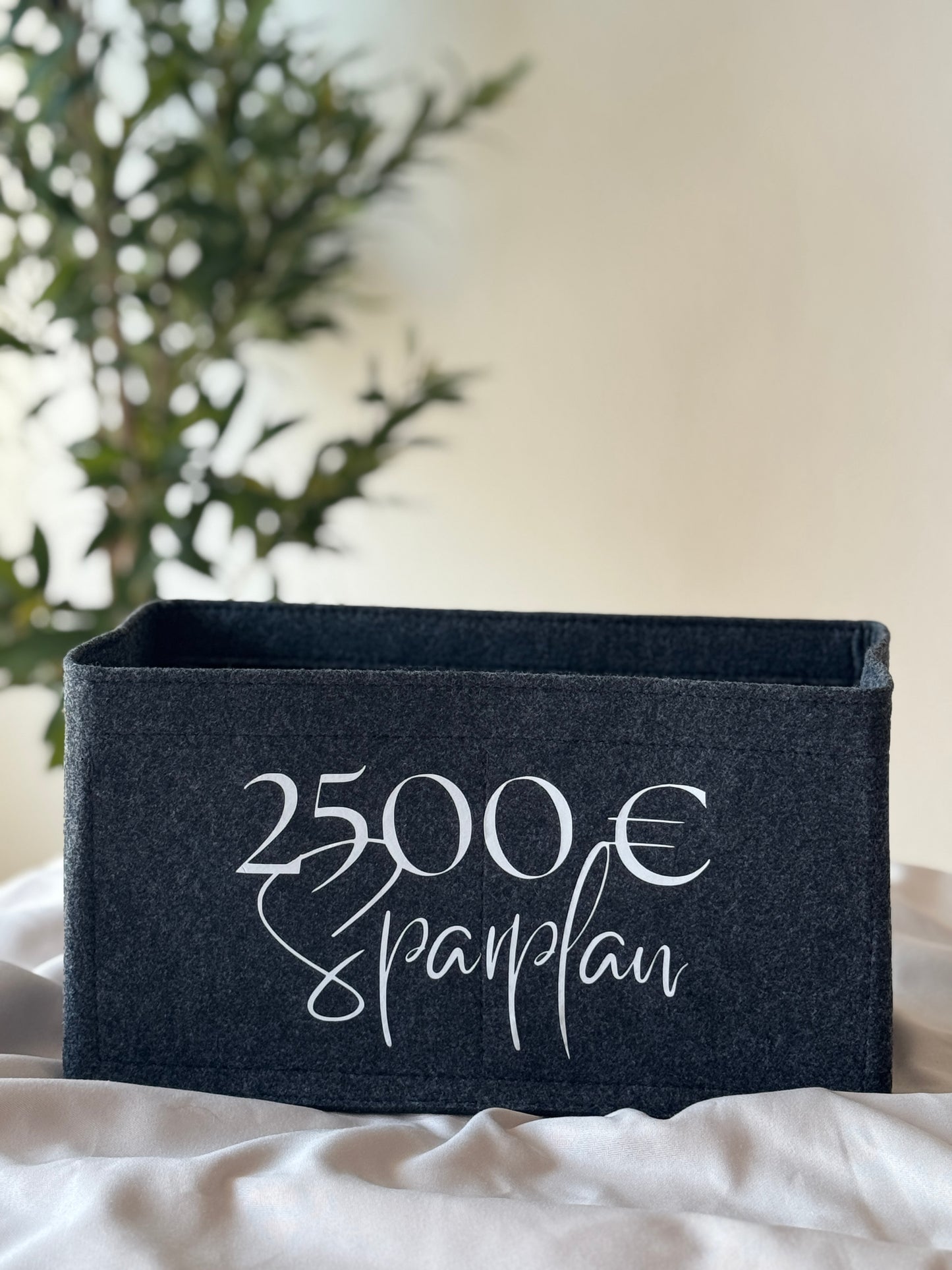 2500 € Sparplan | ORGANIZER