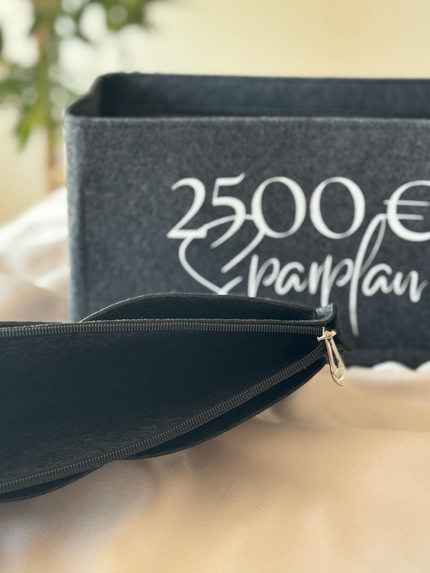 2500 € Sparplan | ORGANIZER